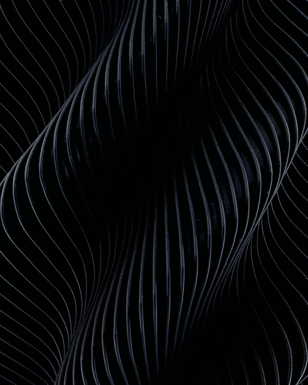 Second Gallery Image